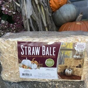 Brand New FloraCraft Straw Bale, 6-Inch x 5-Inch x 13-Inch Natural Hay ONLY ONE